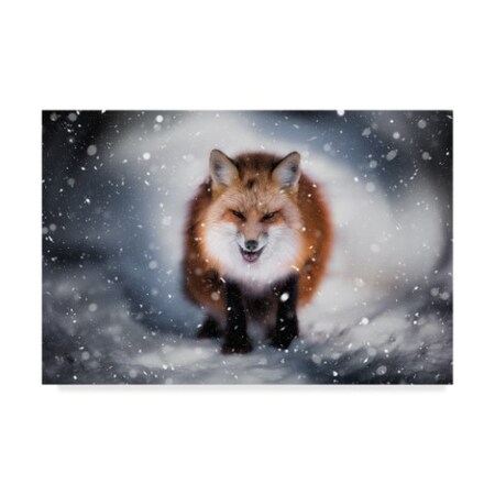 Trademark Fine Art Yuki Yatsushima 'Renart' Canvas Art, 30x47 1X08182-C3047GG